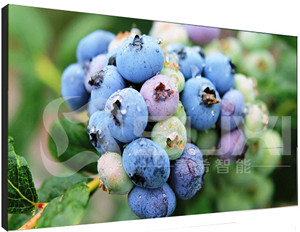 液晶拼接屏出現(xiàn)色差應(yīng)該如何維修？